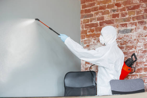 Best Post-Construction Mold Inspection  in Coconut Creek, FL