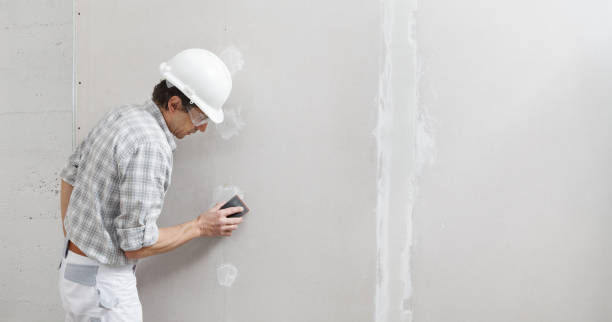 Best Mold Damage Restoration  in Coconut Creek, FL