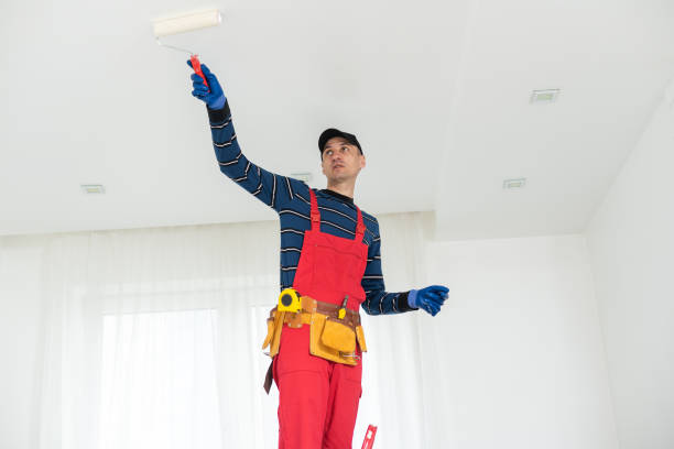 Professional Mold Removal in Coconut Creek, FL