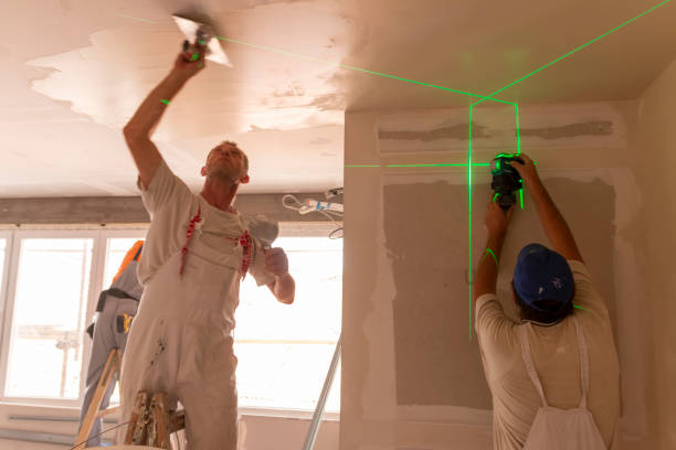 Best Basement Mold Removal  in Coconut Creek, FL